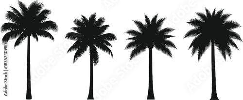 Four silhouetted palm trees against a plain white background tropical aesthetic