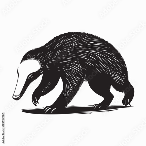 Giant Anteater Side Profile Image Vector Isolated on white background