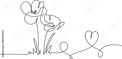 Poppy flowers in continuous line art drawing style. Continuous line art poppy flowers illustration. A minimalist continuous line art drawing of poppy flowers, showcasing elegant simplicity and natural