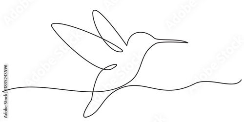 Continuous one line drawing of collibri. Humming bird. Abstract flying bird outline vector illustration.