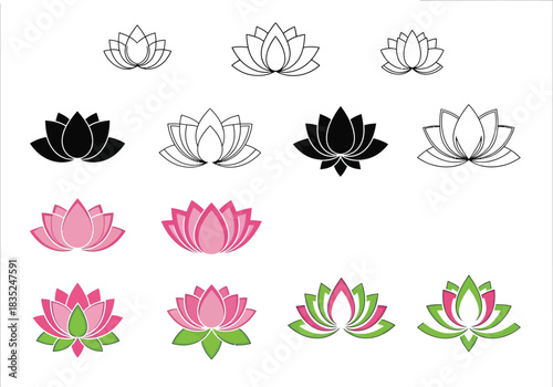 Lotus flower assortment showing line, solid, pink and green,