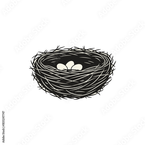 Birds Nest with Eggs A Symbol of New Beginnings.