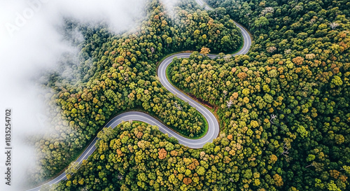 An atmospheric aerial perspective showcases a serpentine asphalt road cutting through lush, verdant foliage and drifting clouds.