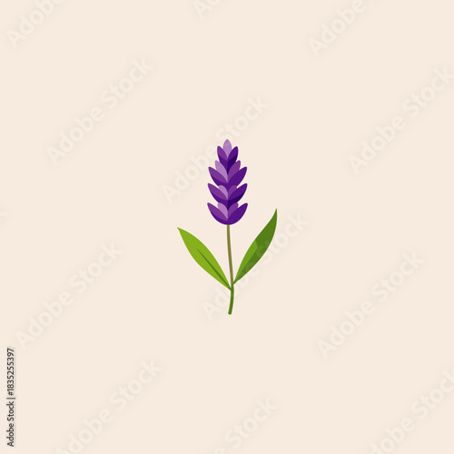 lavender flower icon flat vector design.