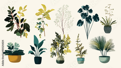 Diverse Collection of Botanical Arrangements with Plants and Water