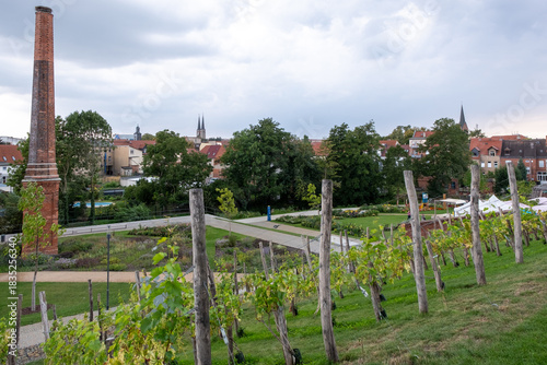 Blick vom Weinberg auf das Zentrum von Burg bei Magdeburg