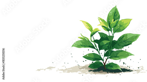 Vibrant Green Plant on White Background: Nature's Elegance in Focus