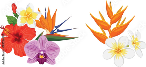 Tropical flower arrangement with hibiscus orchid bird of paradise and plumeria