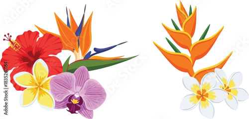 Tropical flower arrangement with hibiscus bird of paradise plumeria and orchid