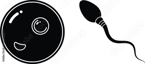 Ovum and sperm cell silhouette illustration for biology or fertility concepts