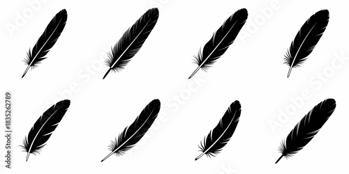 Black Feather Silhouettes Set: Eight detailed vector illustrations of bird plumes isolated on white, perfect for graphic design elements.