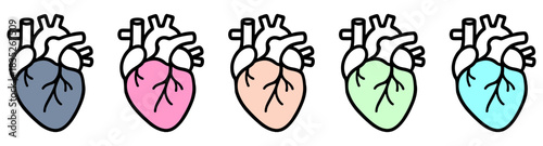 Anatomical heart icons.eps