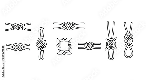 Detailed illustrations of various intricate celtic knot designs and patterns