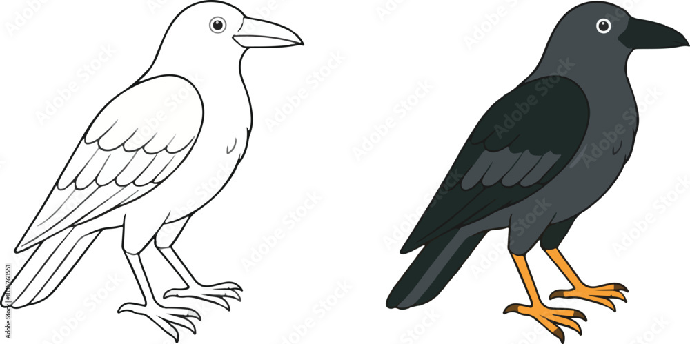 Naklejka premium Simple Crow Bird Illustration with Color Example and Black Outline Coloring Page Template isolated