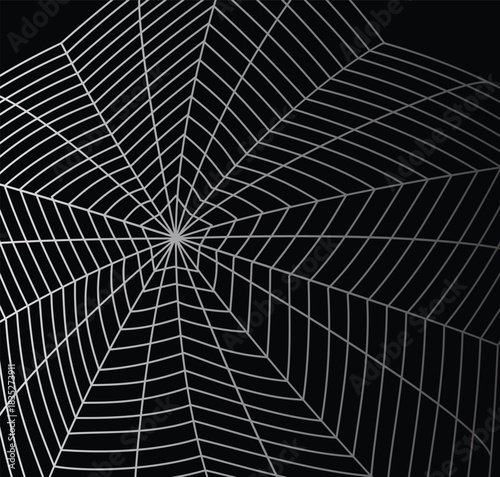 Intricate Silver Spider Web on Black Background, a Detailed Arachnid Creation or a Spooky Halloween Element