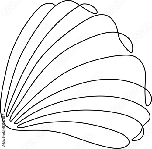 Coiled Conch Shell Continuous Line Spiral Form
