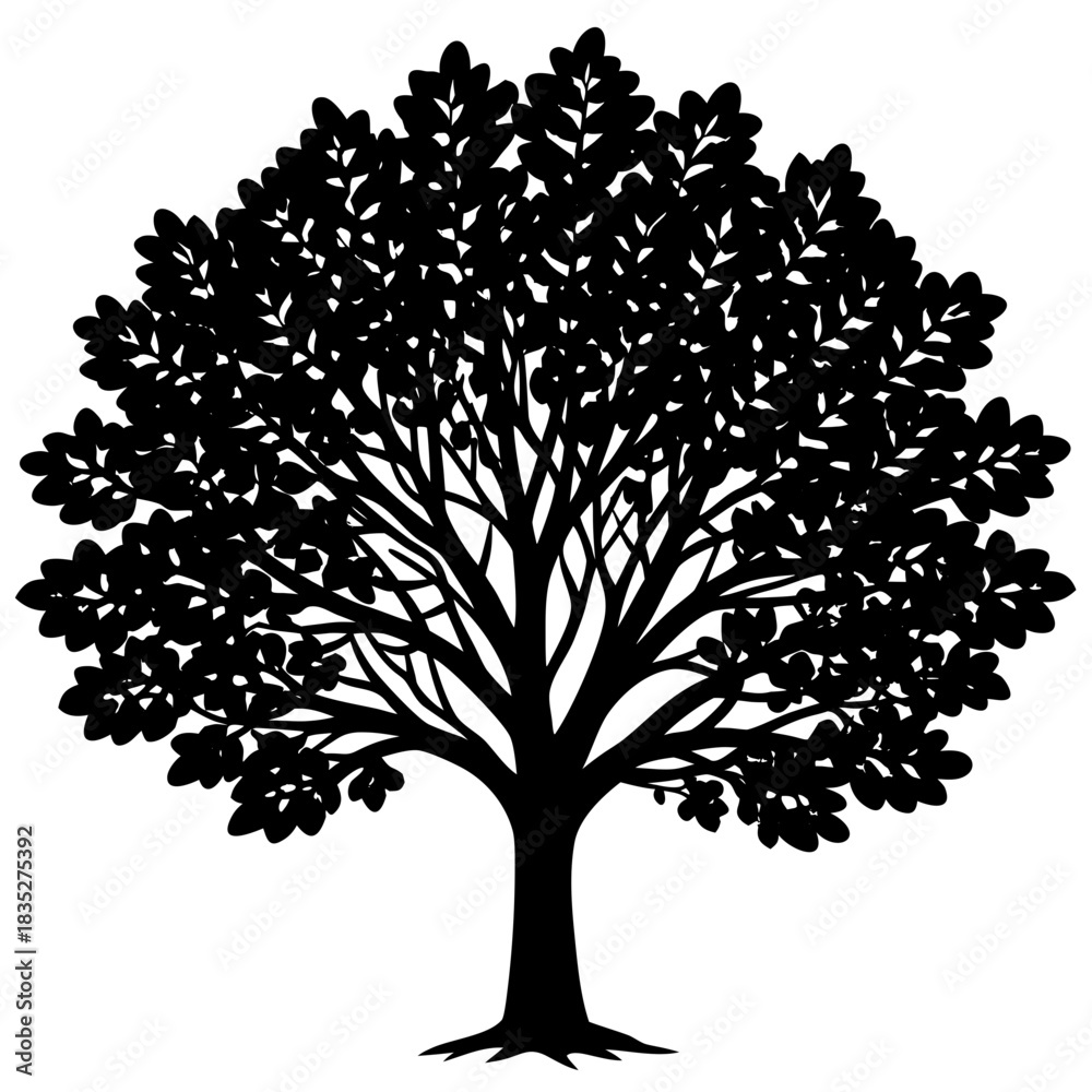 Fototapeta premium vector tree silhouette