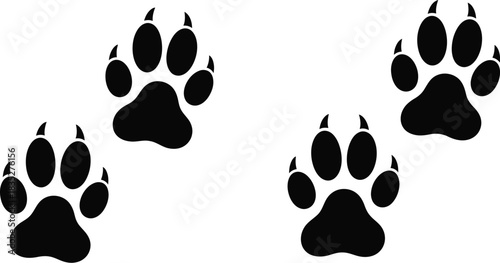 Animal paw prints isolated on white background black silhouette illustration