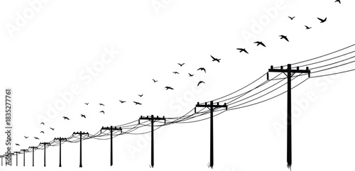 Birds Flying Above an Endless Row of Utility Poles and Wires, Creating a Minimalist Silhouette Vector Design of Electric Transmission Infrastructure, Freedom, and Migration