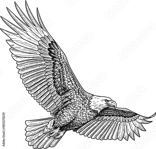 Detailed Vector Art of a Colorful Green Sea Turtle Swimming, Rendered in a Modern Watercolor Style with Splashes and Tropical Marine Patterns