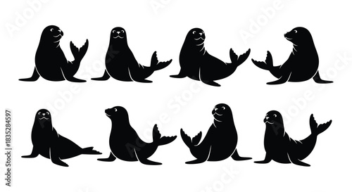Silhouettes of seals in various poses showcase marine mammal adaptations