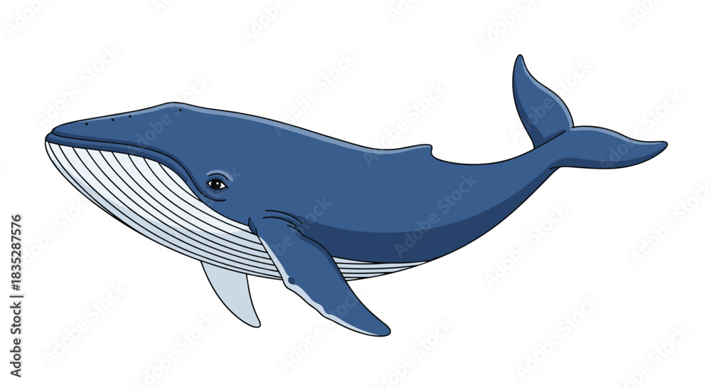 Obraz premium Detailed cartoon illustration of a majestic blue whale swimming peacefully shown from the side view isolated on a white background.