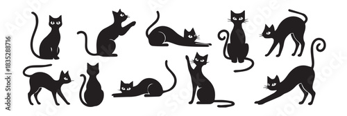 Various Black Cat Silhouettes - Minimalist Pet and Halloween Icon Set