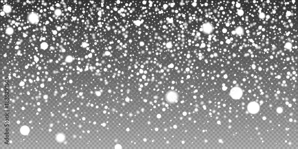Fototapeta premium Winter Snowfall Background
