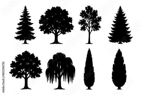 Silhouettes of diverse tree species in black and white.