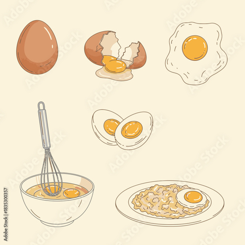 A delightful vector illustration set showcasing diverse egg preparations, including whole, cracked, fried, boiled, and whisked, ideal for food and recipe designs.