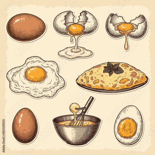 A comprehensive vintage-style illustration set depicting diverse egg preparations: whole, cracked, fried, boiled, whisked, and a delicious omelet.