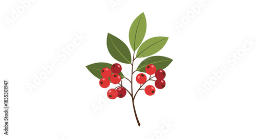 A simple and elegant illustration of a single branch with green leaves and a cluster of ripe red berries on a white background.