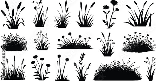 Vibrant assorted colorful candy background, high angle view, mixed sweets, delicious lollipops, sugary junk food, children's treats, fun texture.