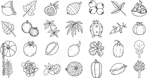 Food Vector Art: Collection of Hand-Drawn Fruits and Vegetables in Black and White Line Art