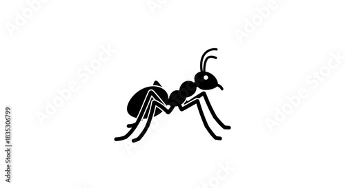Ant Silhouette Detailed Vector Illustration of a Common Insect.