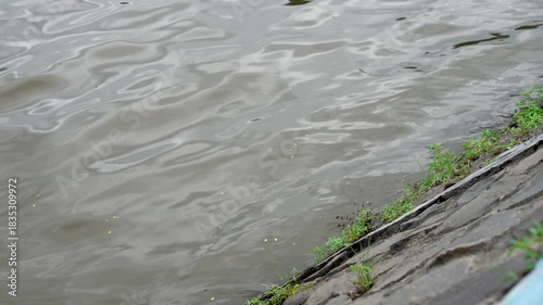 Wallpaper Mural The reservoir's murky, brownish water is punctuated by small, gently moving waves. Focus on the water's surface, reflecting the cloudy light, bordered by a levee wall made of neatly arranged stones. Torontodigital.ca