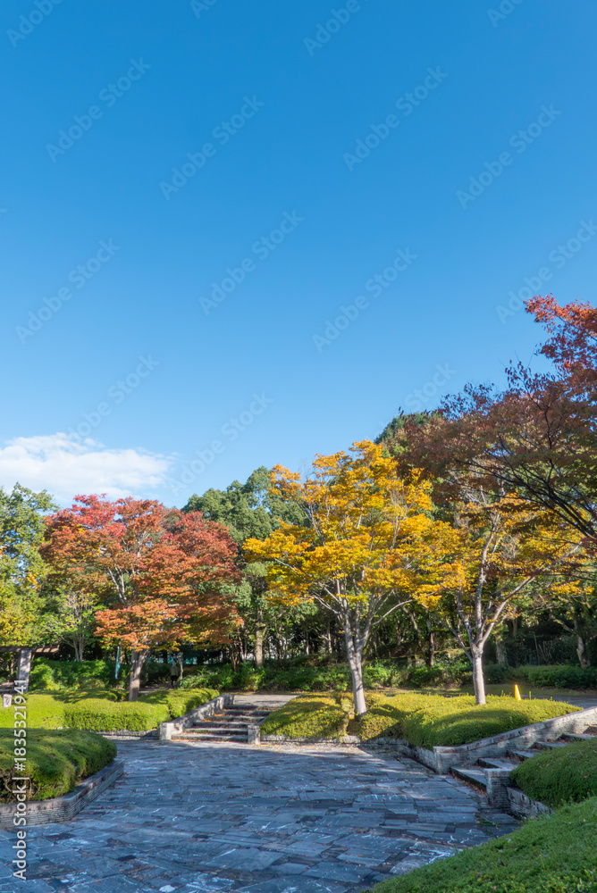 Naklejka premium 初秋の晴れた日の公園 滋賀県大津市びわこ文化公園