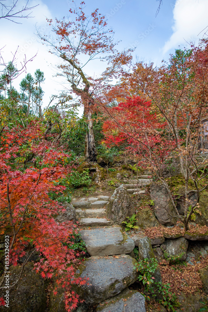 Naklejka premium The scenery of Hosen-in Temple in Kyoto, Japan in late autumn.