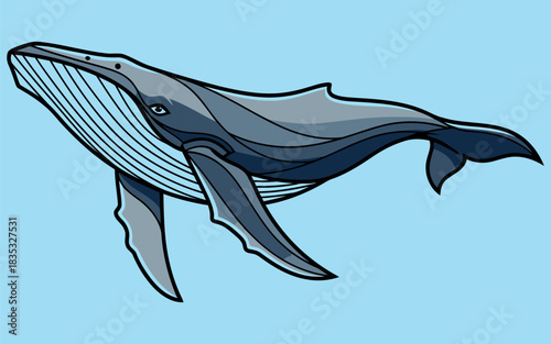 Majestic killer whale illustration in dynamic pose