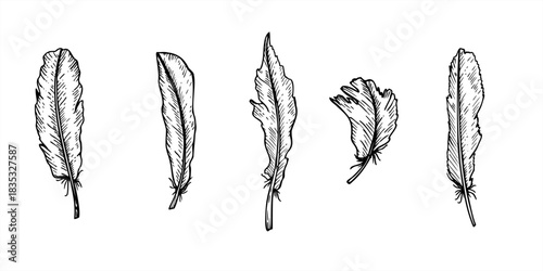 Monochrome bird feathers clip art vector isolated illustration painted by black inks. Hand drawn feather set graphic sketch. Natural elements for carnival mask decor, print patterns, packaging