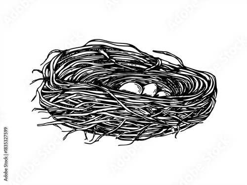 Vector wild bird nest cradling three small white eggs isolated illustration painted by black inks. Forest nest made of dried branches etching drawing. For wildlife conservation content, spring design