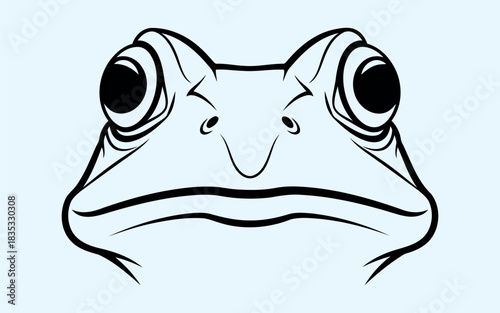 Western toad amphibian illustration for banner or advertisement