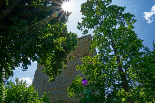 Sandstone masonry of Straufhain Castle Ruins in Thuringia Germany, detailed texture of historic walls showing weathered stone structure.