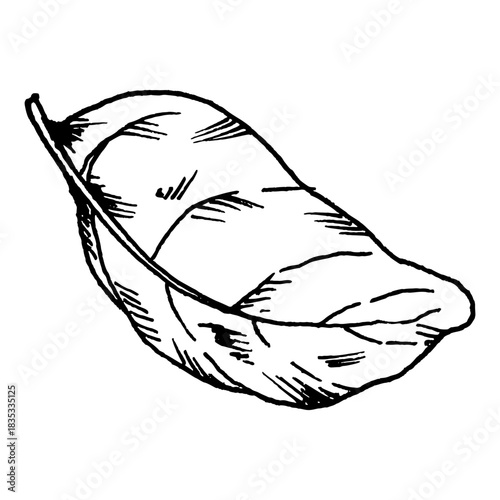 Black and white vector illustration of an elongated basil leaf with detailed veins. Clean line art is suitable for herb collections, culinary graphics, salad mix, pasta themes, pizza topping concepts.