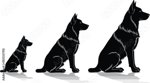 Growth Stages of a German Shepherd Dog Silhouette Set Illustrating Puppy, Adolescent, and Adult Size Progression in Vector