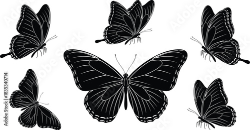Set of beautiful vector black butterfly silhouettes in various flight positions, ideal for nature, summer, decoration, and elegant graphic design elements or patterns