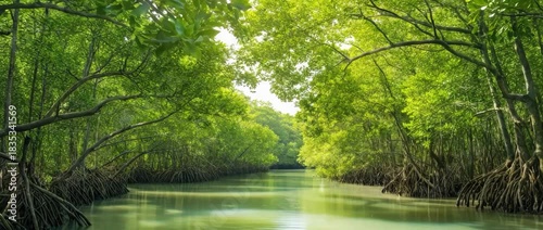 Peaceful River Surrounded by Green Forest
