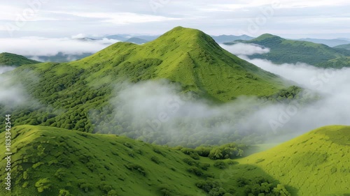 Lush green hill mist rolling hill forested slope aerial view soft cloud serene landscape peaceful atmosphere mountain ridge verdant vegetation rising above low clouds misty valleys vibrant foliage