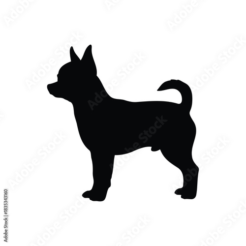 Chiwawa silhouette icon vector flat illustration design.