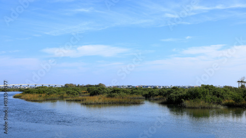 Scenic view of a tranquil waterway with lush greenery under a bright blue sky